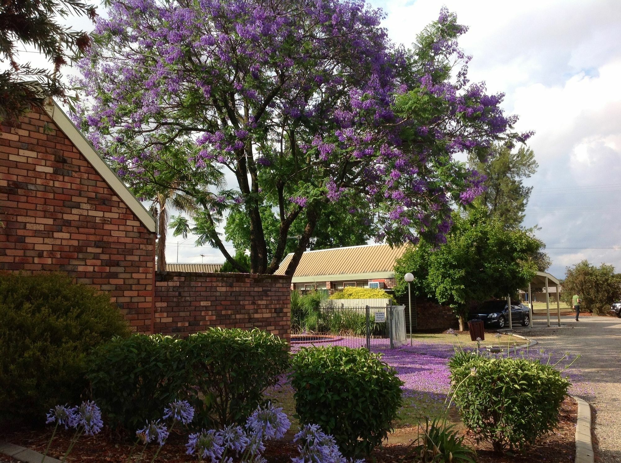 Belvoir Village Motel & Apartments Wodonga Eksteriør bilde